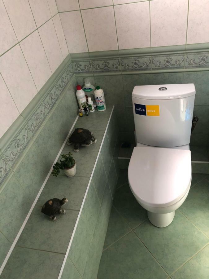 Paukoje Apartamentai 伊格纳利纳 外观 照片